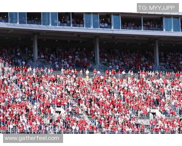 足球场看台上的明星光辉照耀球迷 心中永恒的英雄与偶像 足球场看台上的明星光辉照耀球迷 心中永恒的英雄与偶像