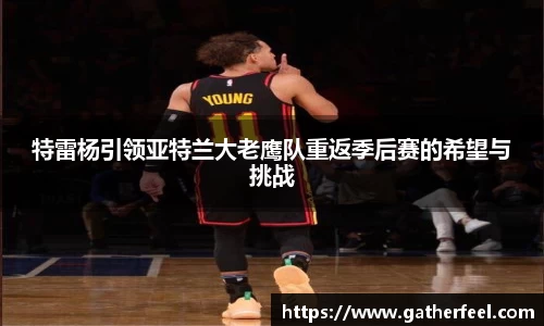 特雷杨引领亚特兰大老鹰队重返季后赛的希望与挑战